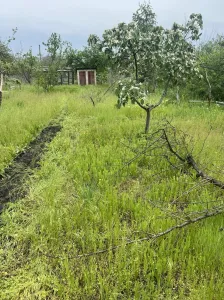Продам дачу
