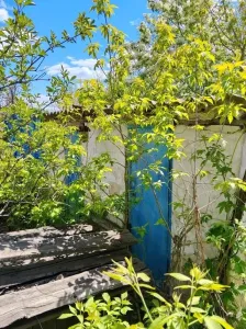 Продам финский дом