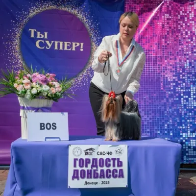 Предлагаются