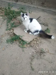 Ищут своего человека