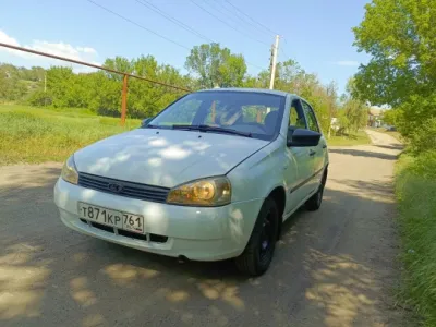 Продам рабочую лошадку калина