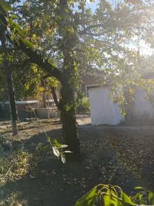 Продам 2-комнатную квартиру на земле в тихом