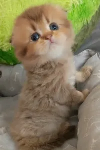 Готовы к переезду в новый дом